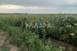 Продам земельный участок, г. Посёлок темерницкий, Ростовская обл., Россия, агентство Риэлторская компания "Эллада"