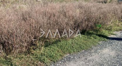 Купить земельный участок в г. Посёлок темерницкий. Фотография №3 Купить земельный участок в г. Посёлок темерницкий. Фотография №3