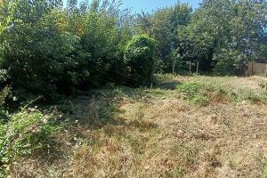 Продам земельный участок, на улице С/т прикубанье виноградная, Прикубанский окр район, г. Краснодар, Краснодарский край, Россия, агентство Мореон Инвест