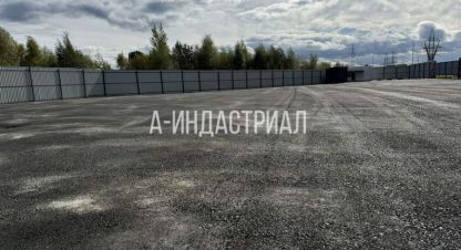Сдаётся земельный участок в г. Коледино. Фотография №7