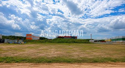 Купить земельный участок на улице Троицкая г. Коледино. Фотография №5 Купить земельный участок на улице Троицкая г. Коледино. Фотография №5