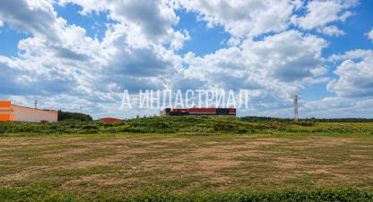Продаётся земельный участок в г. Коледино. Фотография №6 Продаётся земельный участок в г. Коледино. Фотография №6