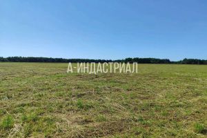 Продам земельный участок, г. Тяжино, Московская обл., Россия, агентство ООО "А-Индастриал"