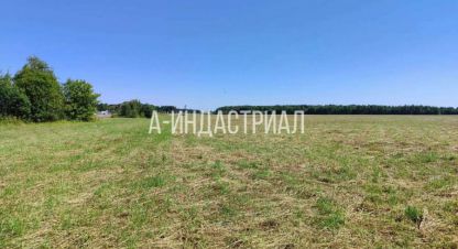 Купить земельный участок в г. Тяжино. Фотография №3