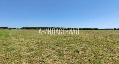 Купить земельный участок г. Тяжино. Фотография №5