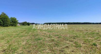 Купить земельный участок в г. Тяжино. Фотография №2