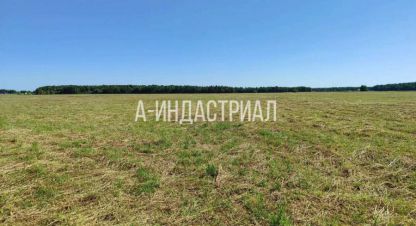 Продаётся земельный участок в г. Тяжино. Фотография №6