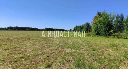 Купить земельный участок г. Тяжино. Фотография №4