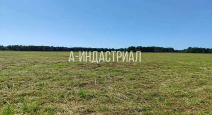 Продам земельный участок, г. Тяжино, Московская обл., Россия, агентство ООО А-Индастриал. Фотография №1