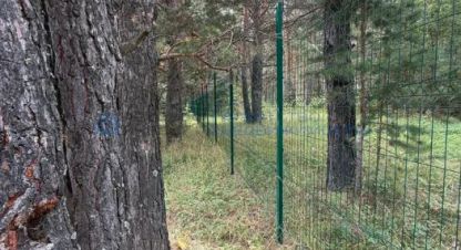 Купить земельный участок в г. Абзаково. Фотография №2