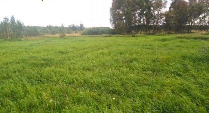 Купить земельный участок. Фотография №5