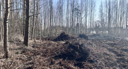 Продаётся земельный участок в г. Озерки(первомайская). Фотография №7
