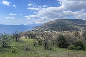 Продам земельный участок, г. Приветное , Крым авт. респ., Россия, агентство Центр продаж НОВОСТРОЙКИ Продам земельный участок, г. Приветное , Крым авт. респ., Россия, агентство Центр продаж НОВОСТРОЙКИ