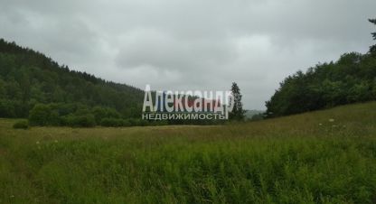 Купить земельный участок в г. Мийнальское сельское поселение. Фотография №2 Купить земельный участок в г. Мийнальское сельское поселение. Фотография №2
