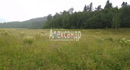 Купить земельный участок в г. Мийнальское сельское поселение. Фотография №3 Купить земельный участок в г. Мийнальское сельское поселение. Фотография №3