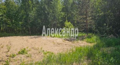 Купить земельный участок в г. Лахденпохья. Фотография №2 Купить земельный участок в г. Лахденпохья. Фотография №2
