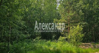 Купить земельный участок. Фотография №9 Купить земельный участок, Россия, г. Лахденпохья. Фотография №9
