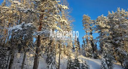 Купить дом в г. Лахденпохья. Фотография №3 Купить дом в г. Лахденпохья. Фотография №3