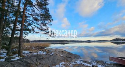 Купить дом 4-х комнатную, 110 кв. м. Фотография №1 Продам дом 4-х комнатный с общей площадью 110м2, на улице Карелия лахденпохский куркиёкское сельское поселение посёлок терву ладожская, Лахденпохский район, г. Посёлок терву, Карелия респ., Россия, агентство Александр-Недвижимость. Фотография №1