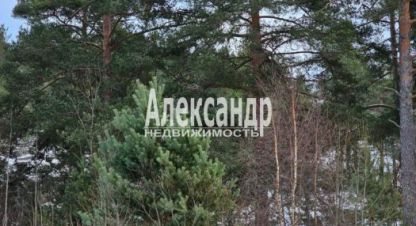 Купить дом 4-х комнатную, 110 кв. м. Фотография №9 Купить дом 4-х комнатную, 110 кв. м., Россия, г. Посёлок терву. Фотография №9