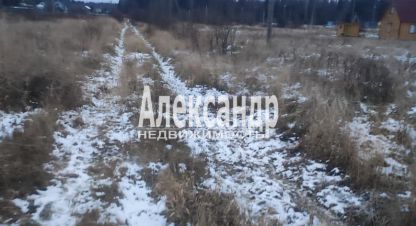 Купить земельный участок на улице Карелия питкярантский муниципальный окр территория урочище пелля солнечная г. Территория урочище пелля. Фотография №5 Купить земельный участок на улице Карелия питкярантский муниципальный окр территория урочище пелля солнечная г. Территория урочище пелля. Фотография №5