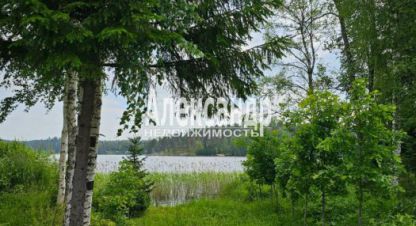 Купить дом 2-х комнатную, 61.6 кв. м. Фотография №8 Купить дом 2-х комнатную, 61.6 кв. м., Россия, г. Лахденпохья. Фотография №8
