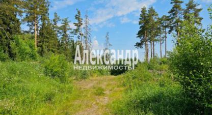 Продаётся 2-х комнатная дом в г. Лахденпохья. Фотография №6 Продаётся 2-х комнатная дом в г. Лахденпохья. Фотография №6