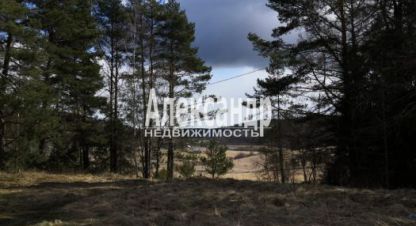Продаётся дом в г. Посёлок микли. Фотография №7
