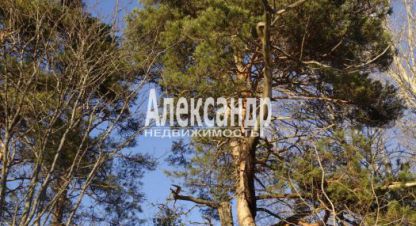 Купить дом 3-х комнатную, 112 кв. м., Россия, г. Посёлок микли. Фотография №8