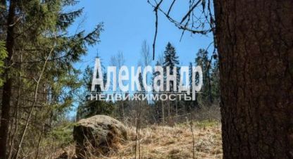 Купить дом 1 комнатную, 34 кв. м. Фотография №1 Продам дом 1 комнатный с общей площадью 34м2, на улице Карелия, Лахденпохский район, г. Лахденпохскоеское поселение, Карелия респ., Россия, агентство Александр-Недвижимость. Фотография №1