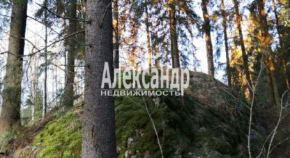 Продаётся дом в г. Лахденпохскоеское поселение. Фотография №7 Продаётся дом в г. Лахденпохскоеское поселение. Фотография №7
