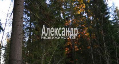Купить дом 1 комнатную, 34 кв. м. Фотография №8 Купить дом 1 комнатную, 34 кв. м., Россия, г. Лахденпохскоеское поселение. Фотография №8