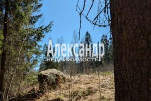 Продам дом 1 комнатный с общей площадью 34м2, на улице Карелия, Лахденпохский район, г. Лахденпохскоеское поселение, Карелия респ., Россия, агентство Александр-Недвижимость Продам дом 1 комнатный с общей площадью 34м2, на улице Карелия, Лахденпохский район, г. Лахденпохскоеское поселение, Карелия респ., Россия, агентство Александр-Недвижимость