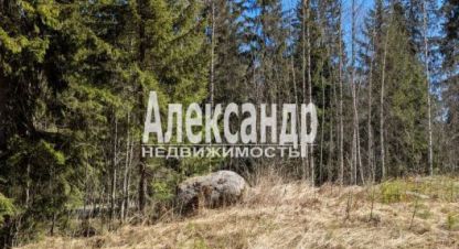 Купить 1 комнатную дом на улице Карелия г. Лахденпохскоеское поселение. Фотография №4 Купить 1 комнатную дом на улице Карелия г. Лахденпохскоеское поселение. Фотография №4