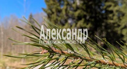 Купить 1 комнатную дом в г. Лахденпохскоеское поселение. Фотография №2 Купить 1 комнатную дом в г. Лахденпохскоеское поселение. Фотография №2