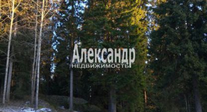 Купить дом 1 комнатную, 34 кв. м. Фотография №10 Купить дом 1 комнатную, 34 кв. м., Россия, г. Лахденпохскоеское поселение. Фотография №10