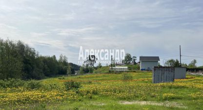 Купить земельный участок в г. Посёлок терву. Фотография №2