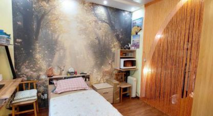 Купить 1 комнатную квартиру на улице Кольцевая г. Находка. Фотография №4
