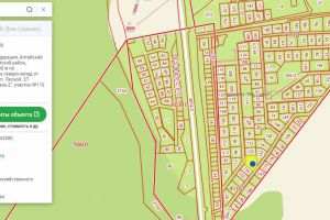 Продам земельный участок, на улице Центральная, г. Моторостроитель-2 снт, Алтайский край, Россия, агентство Миэль офис в Барануле Продам земельный участок, на улице Центральная, г. Моторостроитель-2 снт, Алтайский край, Россия, агентство Миэль офис в Барануле