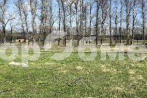 Продам земельный участок, на улице Центральная, г. Карамышево, Тульская обл., Россия, агентство ГорОбмен Продам земельный участок, на улице Центральная, г. Карамышево, Тульская обл., Россия, агентство ГорОбмен