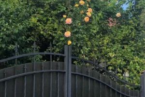 Продам дом с общей площадью 150м2, Приморский район, г. Одесса , Одесская обл., Украина, агентство АН Проспект Продам дом с общей площадью 150м2, Приморский район, г. Одесса , Одесская обл., Украина, агентство АН Проспект