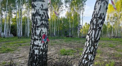 Купить земельный участок, Россия, г. Тула. Фотография №9