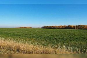 Продам земельный участок, на улице Приозёрная, г. Рогово-2, Смоленская обл., Россия, агентство Джойнио Продам земельный участок, на улице Приозёрная, г. Рогово-2, Смоленская обл., Россия, агентство Джойнио