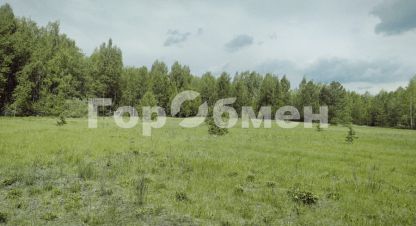 Купить земельный участок в г. Поздняково. Фотография №3