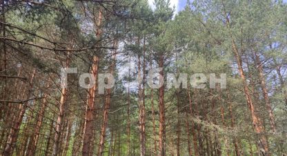 Продам земельный участок, на улице Строителей, г. Поздняково, Нижегородская обл., Россия, агентство ГорОбмен. Фотография №1