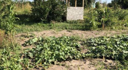Продам земельный участок, на улице Снт, г. Пашковский с/с, Курская обл., Россия, агентство Эпсилон - недвижимость. Фотография №1