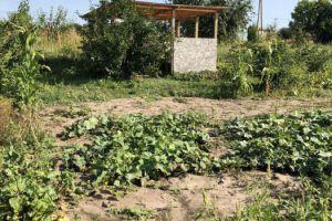 Продам земельный участок, на улице Снт, г. Пашковский с/с, Курская обл., Россия, агентство Эпсилон - недвижимость