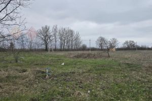 Продам земельный участок, на улице Сдт заря, г. Садовое товарищество заря, Адыгея респ., Россия, агентство Мореон Инвест