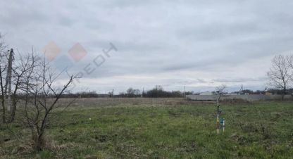 Купить земельный участок в г. Садовое товарищество заря. Фотография №2